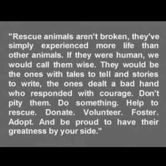 Meet your Posher, C - Picture 6 of 8